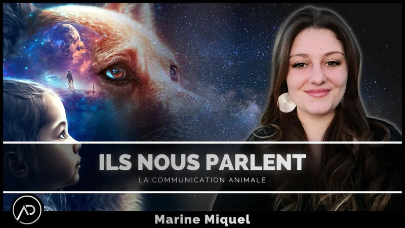Marine Miquel Animaux ils nous parlent et nous entendent