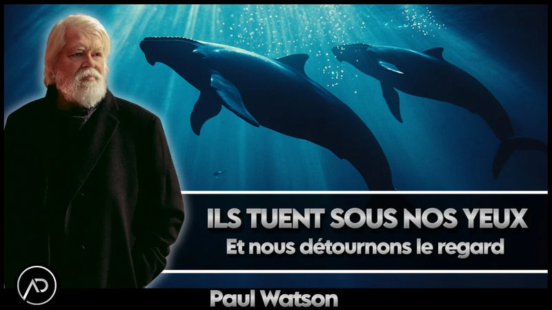 Paul Watson Baleines