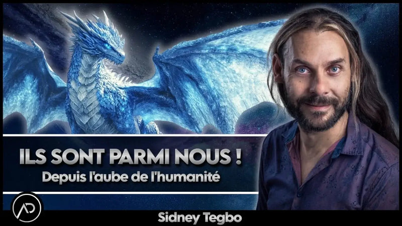 Sidney Tegbo Dragons