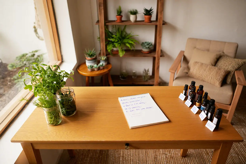 Naturopathie c'est quoi : définition et principes de santé naturelle