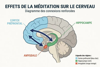Plasticité neuronale et méditation : ce que dit la neuroscience