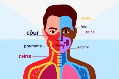 Dien chan : découvrez la réflexologie faciale vietnamienne