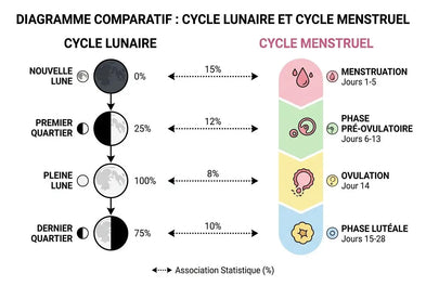 Le cycle menstruel et la lune : mythe ou réalité ?