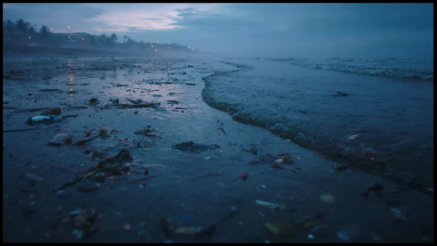 Littoral marin pollué au lever du jour, illustrant la crise écologique des océans